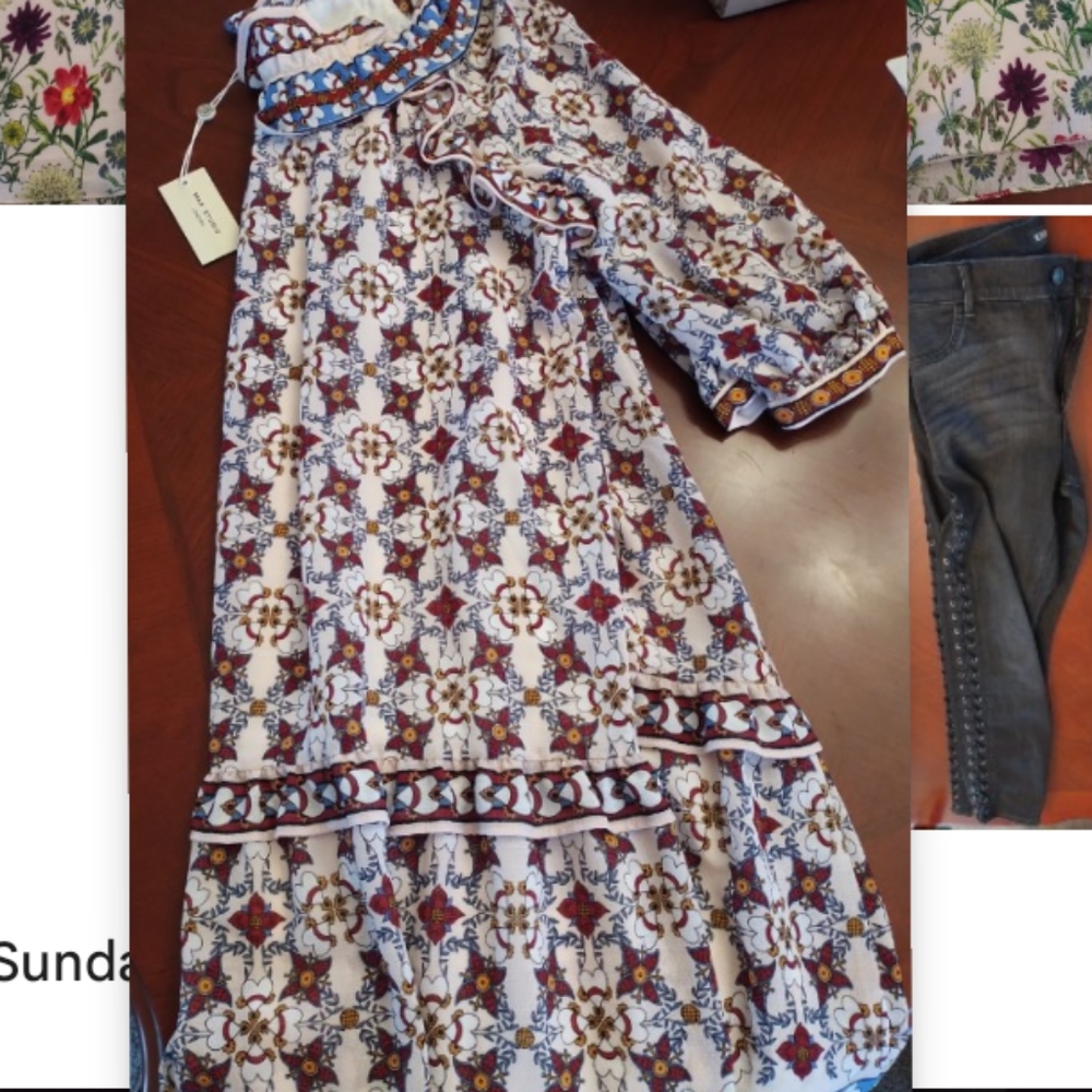 NWT Max studio London dress